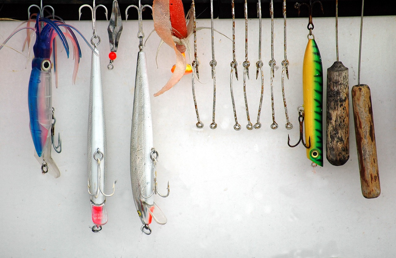 保存版 エギングの全知識 おすすめのタックルや釣り方を徹底解説 Angler Japan アングラージャパン