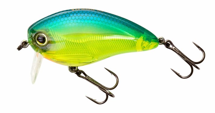 クロダイ釣りにおすすめのルアー30選 ルアーの最適な選び方についても解説 Angler Japan アングラージャパン