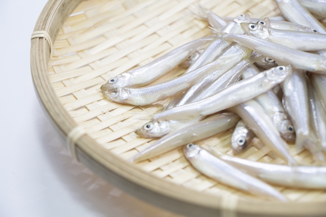 ニジマスの3種類の釣り方とは ニジマス釣りのコツやよく釣れる餌 釣れないときの原因も解説します Angler Japan アングラージャパン