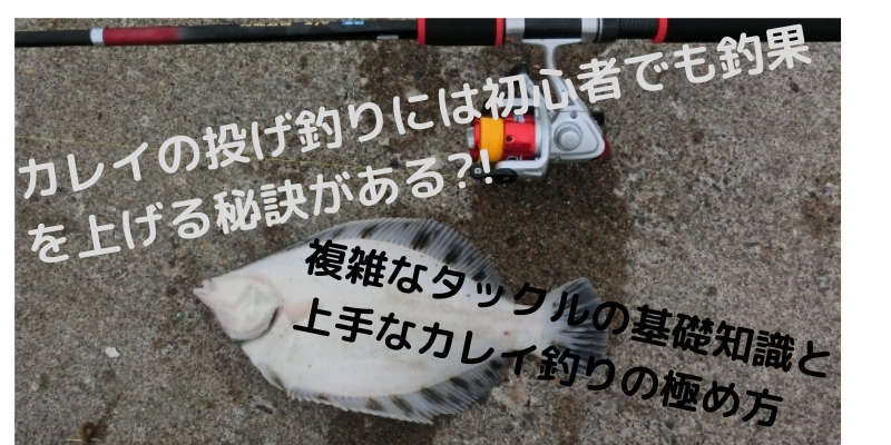 カレイの投げ釣りには初心者でも釣果を上げる秘訣がある 複雑なタックルの基礎知識と上手なカレイ釣りの極め方 Angler Japan アングラージャパン