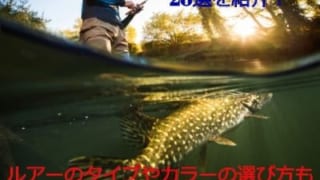 バス釣り最強ルアー選を紹介 ルアーのタイプやカラーの選び方も丁寧に解説します Angler Japan アングラージャパン