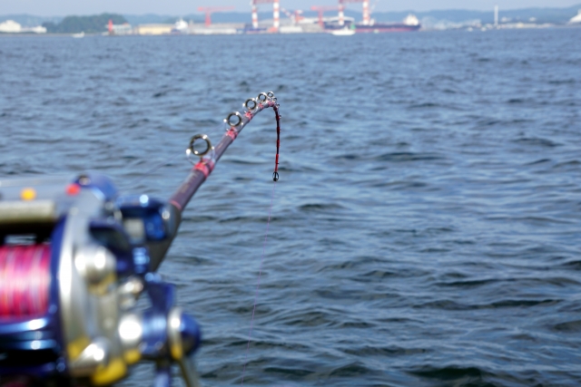 ヤリイカ釣りで揃えるべきタックルは 釣れる場所や仕掛け 釣り方を徹底解明 Angler Japan アングラージャパン