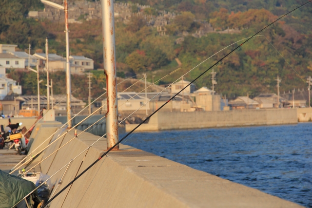 シーバスの仕掛けは3種類 必要な道具や釣り方を徹底解説 Angler Japan アングラージャパン