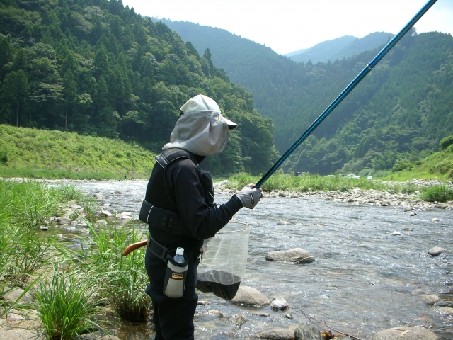 サクラマスはどうやって釣る 必要な道具から釣り方まで徹底解説 Angler Japan アングラージャパン