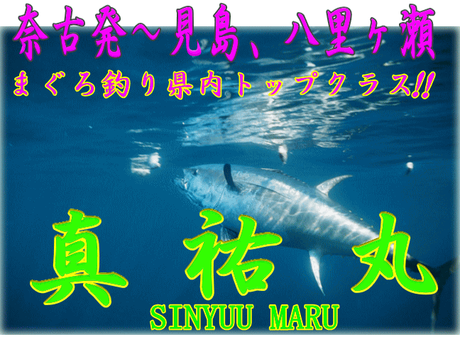 マグロ釣りをするなら遊漁船がおすすめ マグロが釣れる全国各地の遊漁船21選 Angler Japan アングラージャパン
